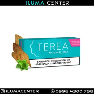 سیگار ترا ارمنی فیروزه ای Terea Armenia Turquoise